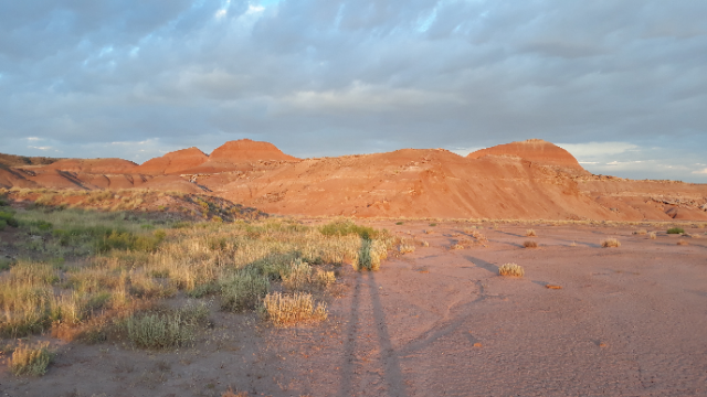 Painted Desert | Photography
