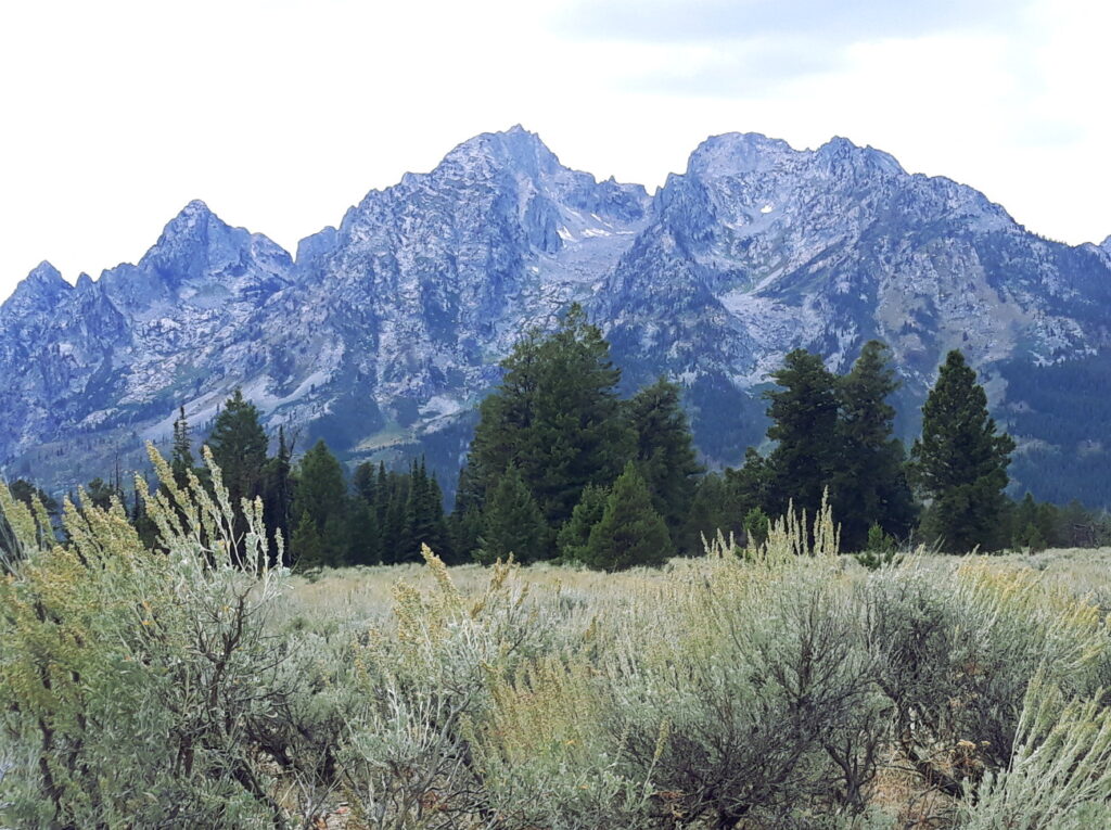 tetons