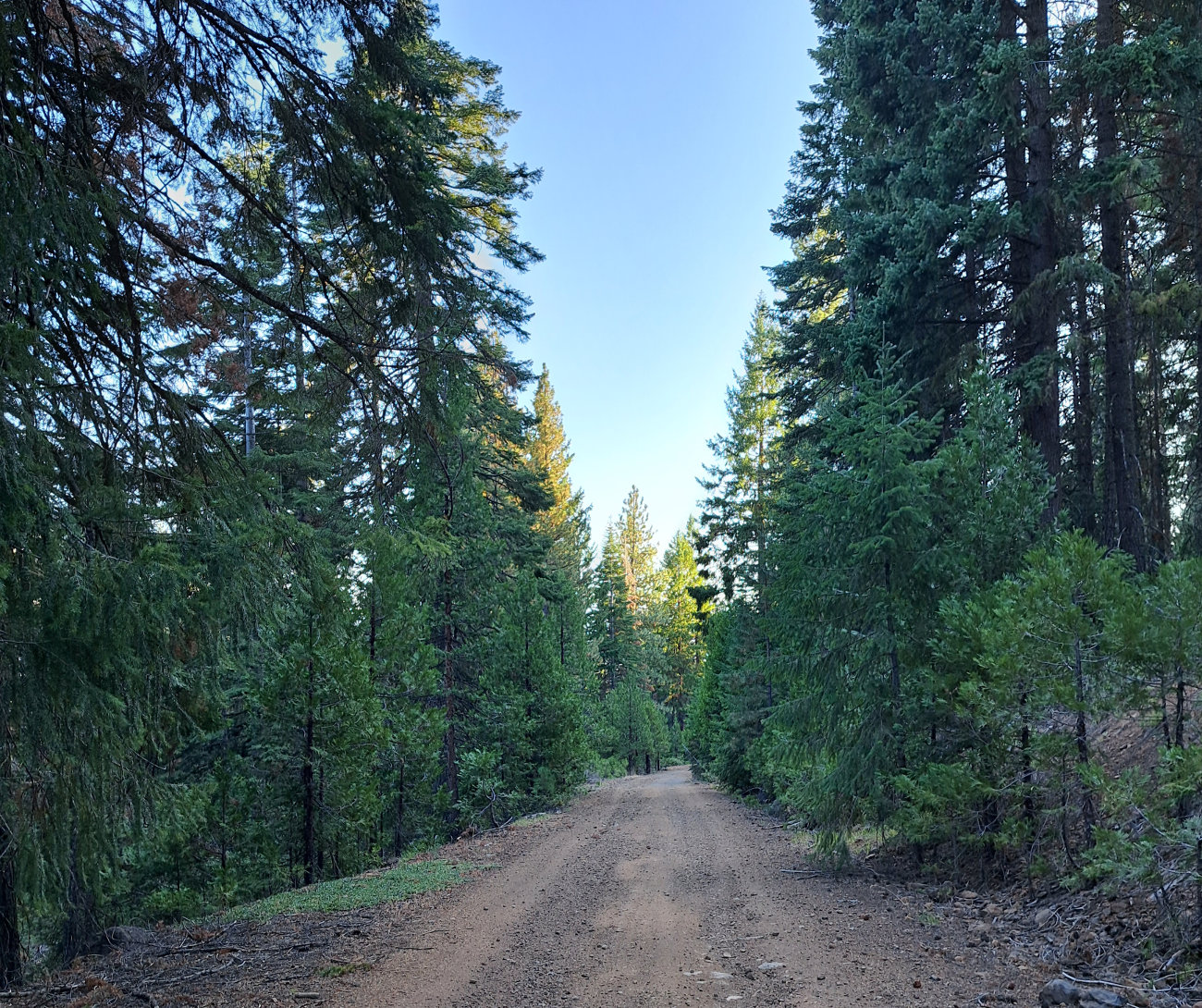 Winema National Forest Road
